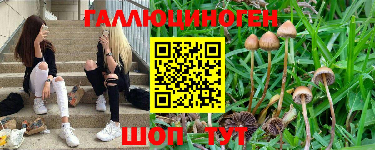 Галлюциногенные грибы ЛСД Великий Устюг
