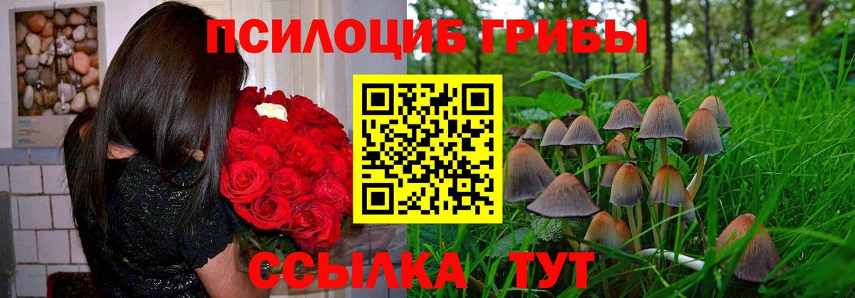 Галлюциногенные грибы GOLDEN TEACHER  Вход с VPN  Галлюциногенные грибы мицелий  Великий Устюг 