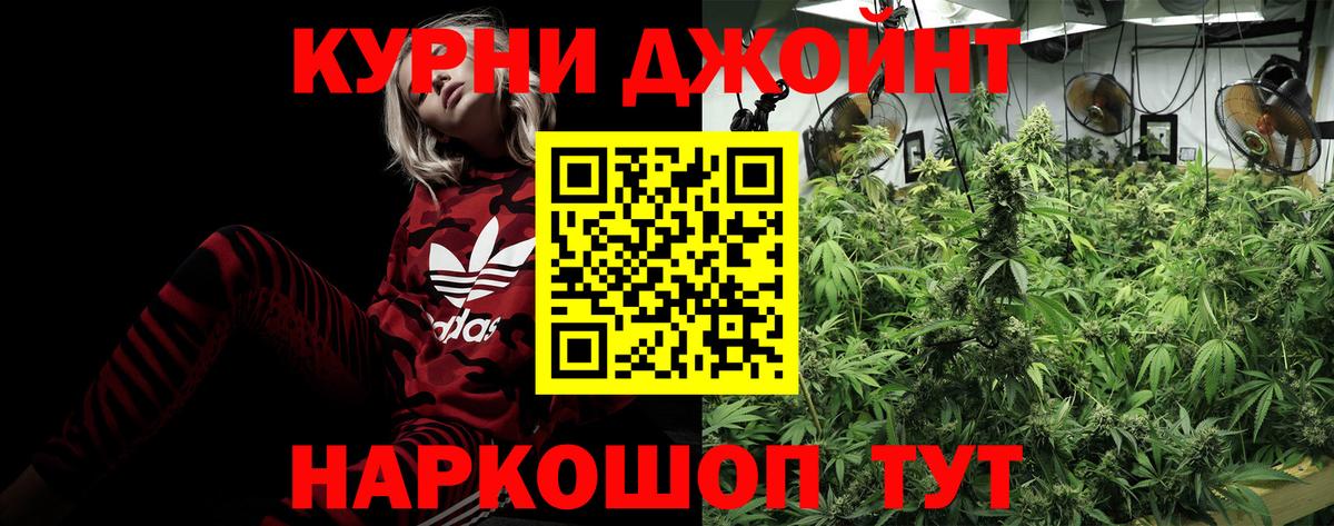 Бошки марихуана сатива  Каннабис THC 21%  Марихуана VHQ  Великий Устюг  Вход с VPN 